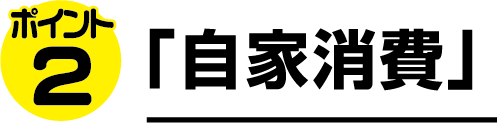 ポイント2 「自家消費」